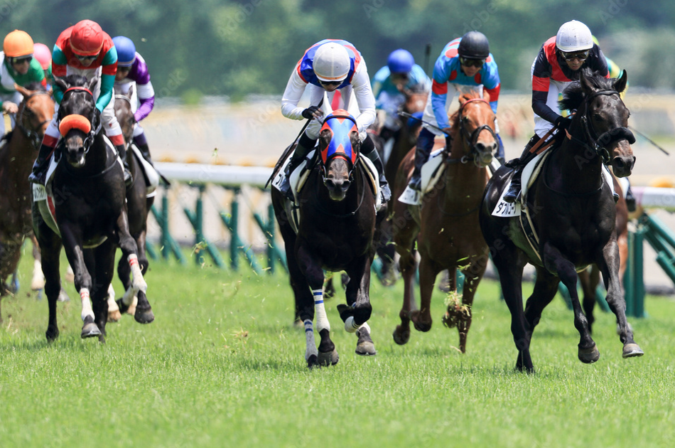 サイン競馬とは