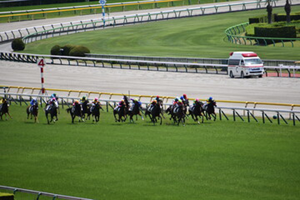 金杯シンクロ相互リンク